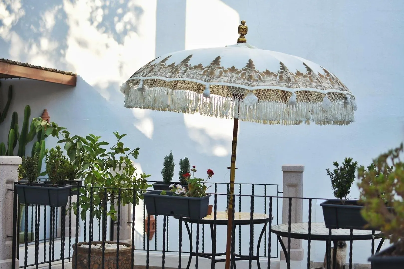 La Casa De Mama Hotell Marbella Marockansk riad