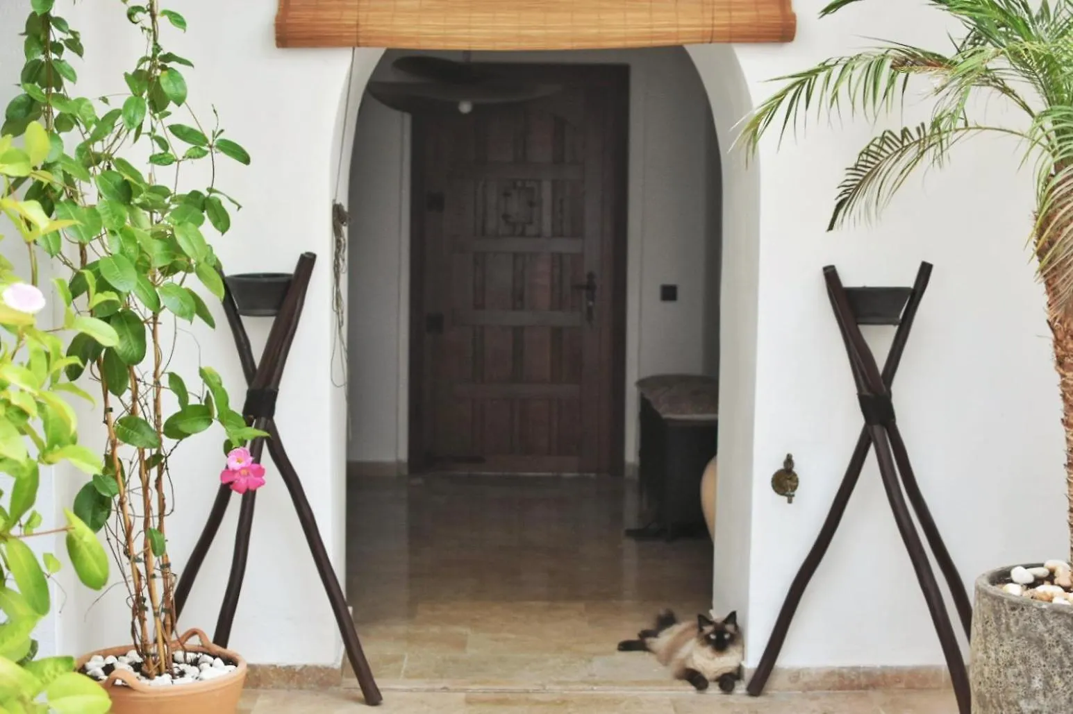 La Casa De Mama Hotell Marbella 0*,